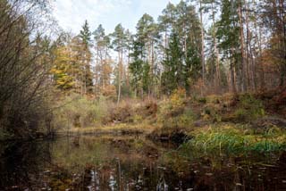 Bechtenrain Steinbrauch